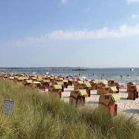 Haf Ega - Starke Apartment *